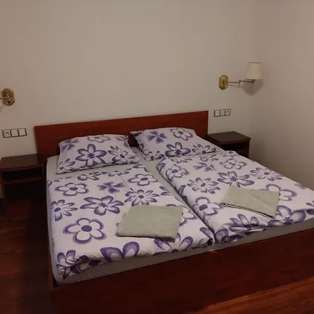 Apartmany U Martina Javornik  Exterior photo