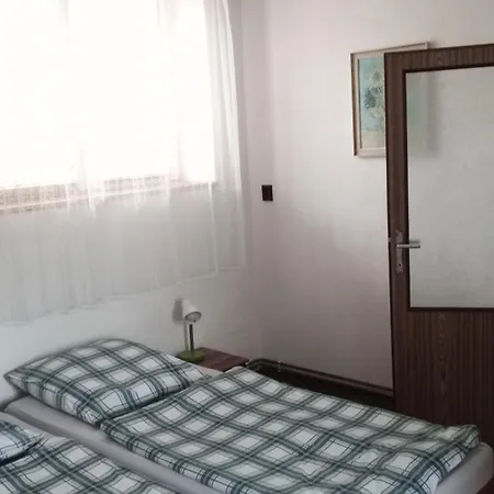 Apartmany U Martina Javornik  Exterior photo