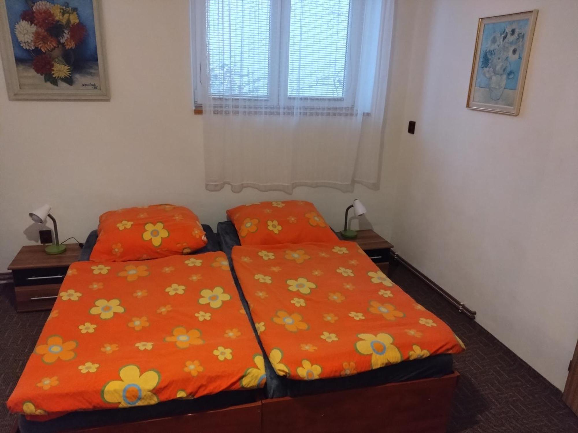 U Martina Apartment *